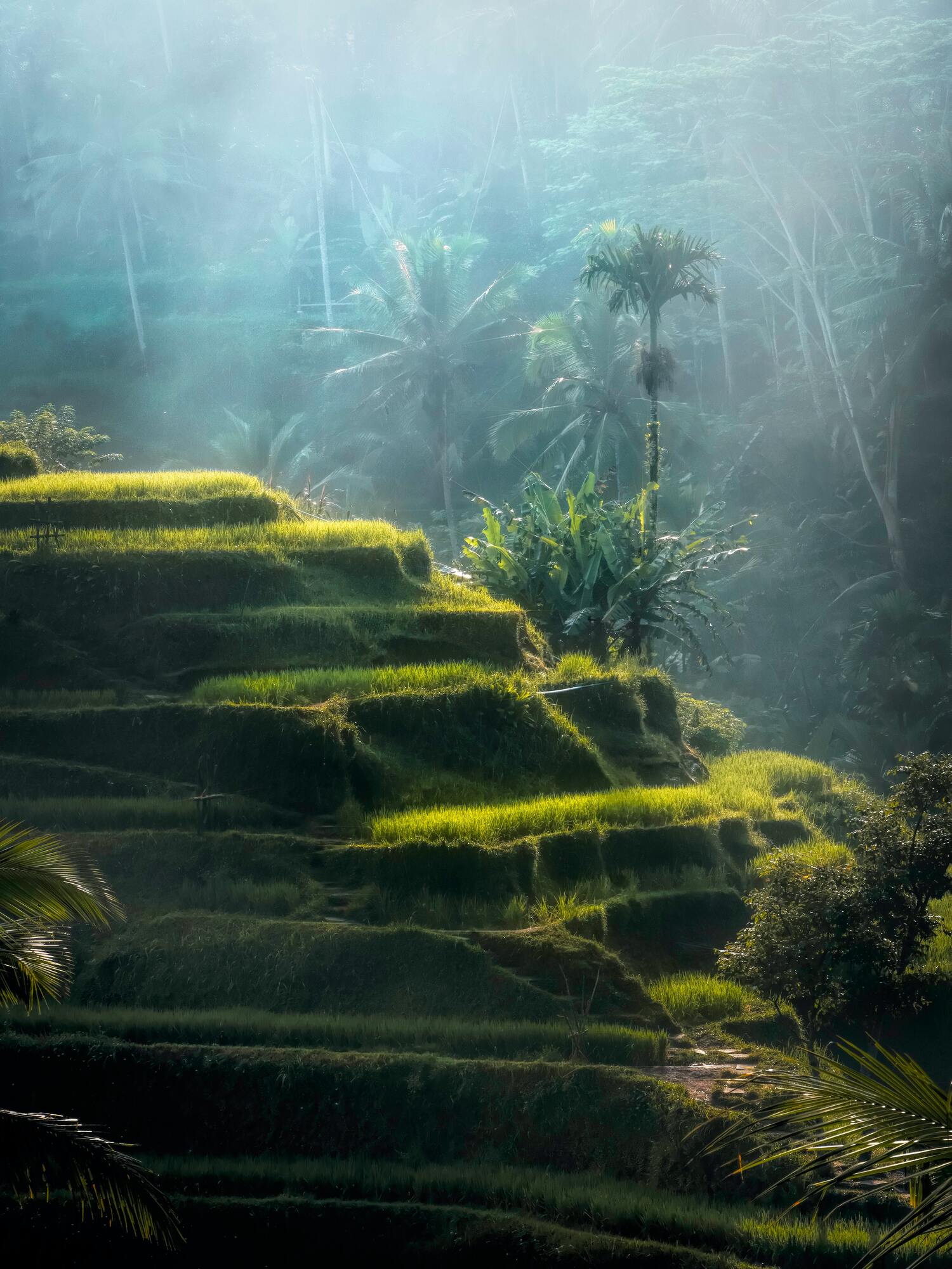 【早割価格】BALI RETREAT 5DAYS 2024年2月