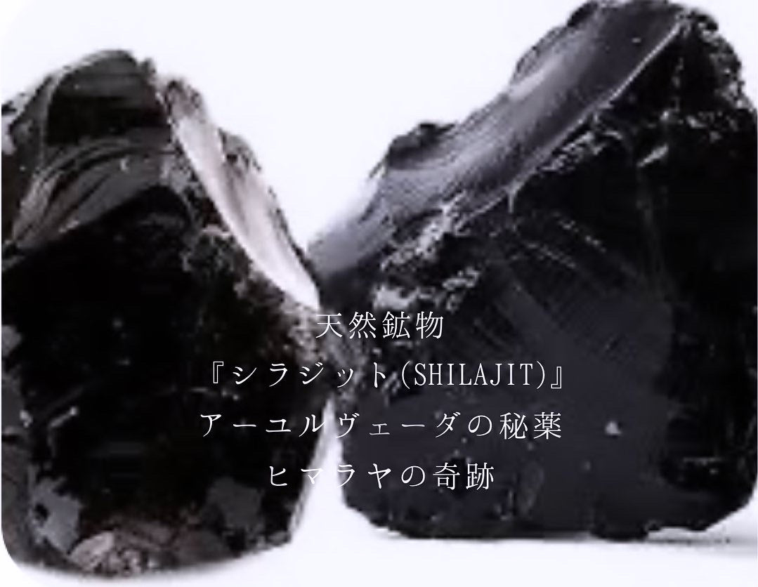 【先行予約受付開始】天然鉱物100% DAKRJUN SHILAJIT -『生』シラジット | 数量限定【10g | ケース付き】