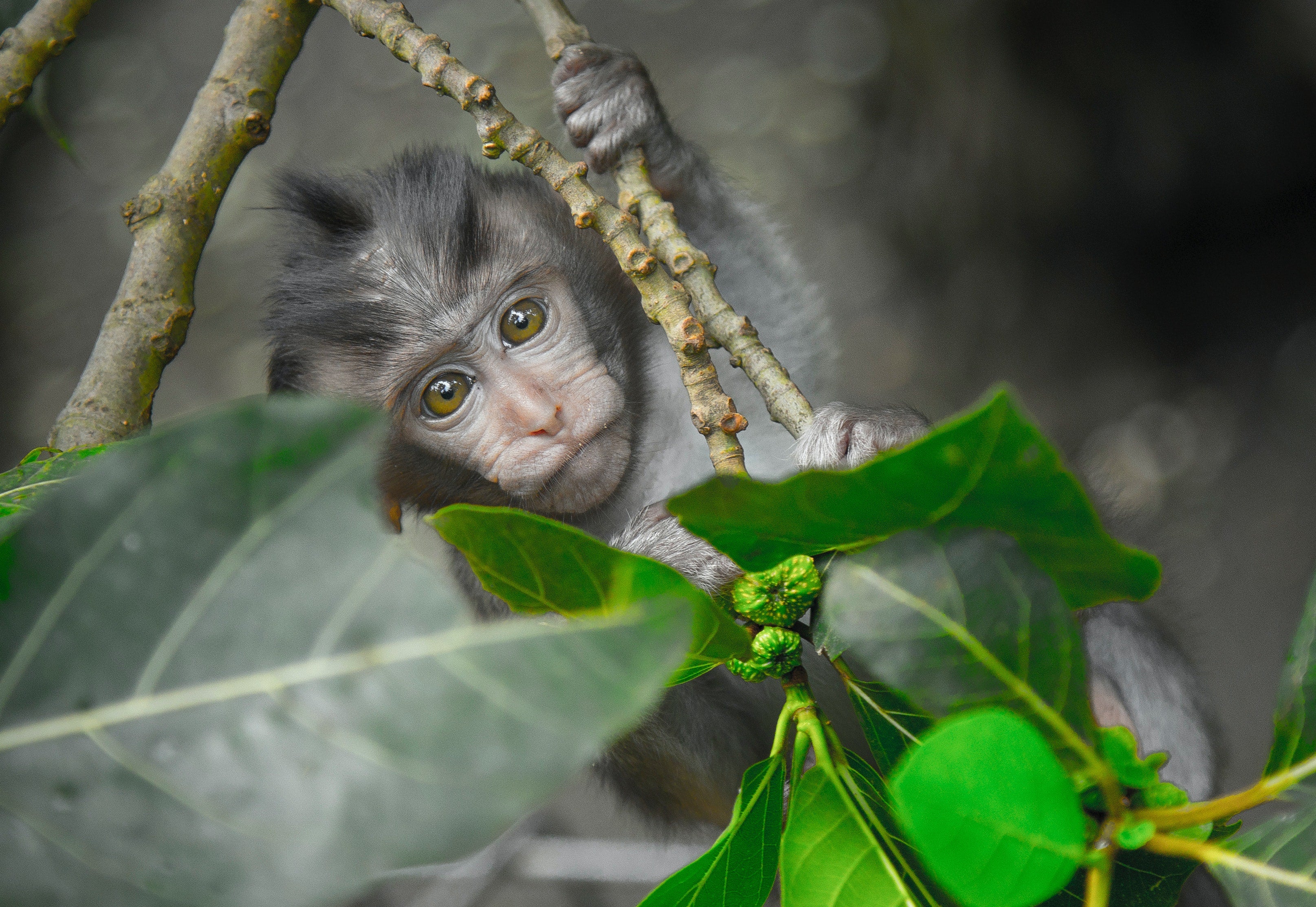 【早割価格】BALI RETREAT 5DAYS 2024年2月