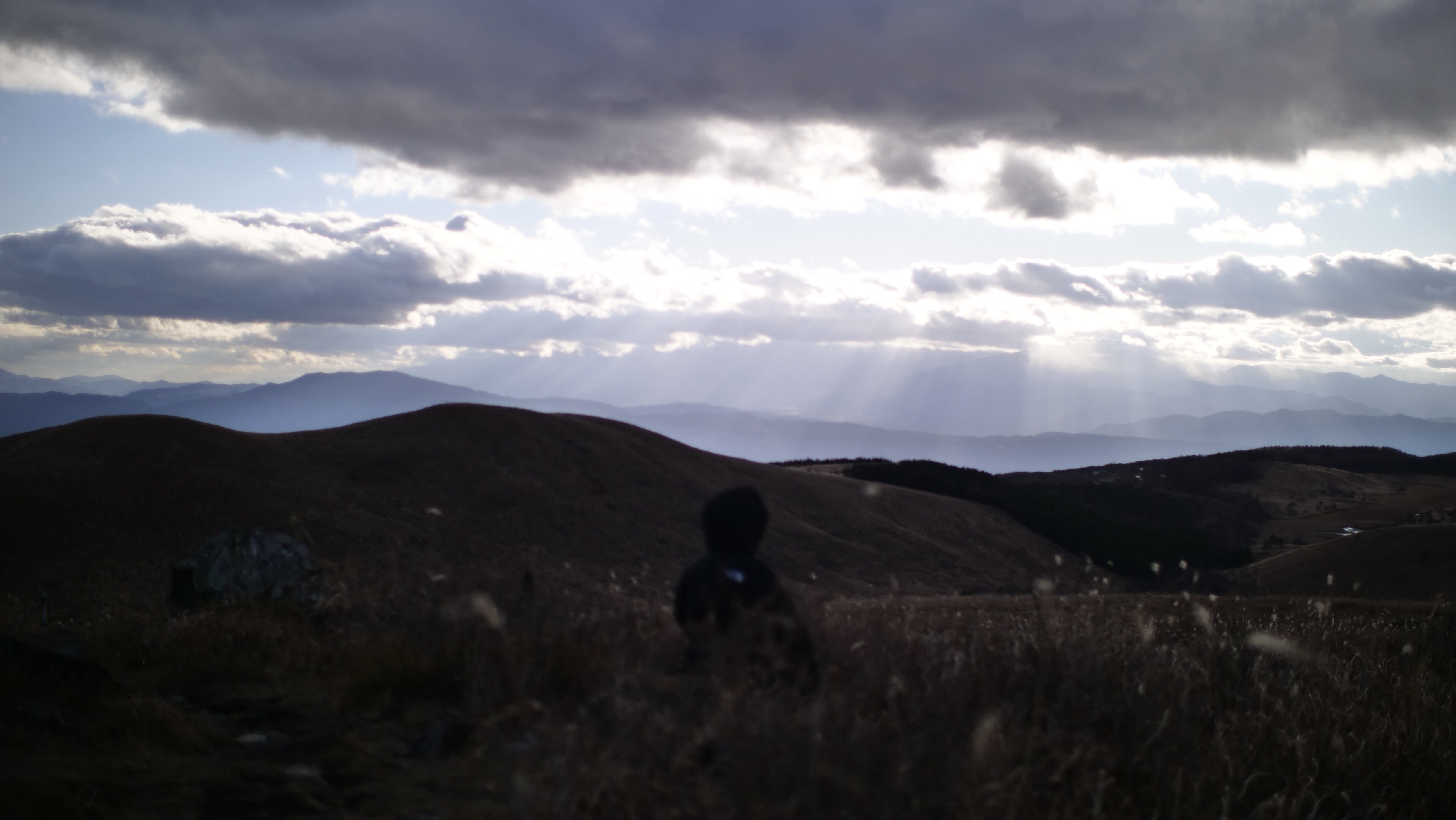 1DAY YOGA RETREAT【NAGANO】