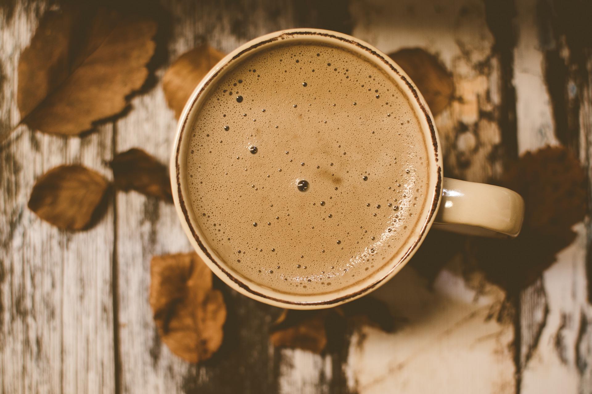 ヒマラヤ式 GHEE COFFEE DIET -KETO KHICHARI GHEE COFFEE DIET-